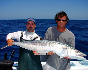 This silver bullet is a king mackerel (aka kingfish).